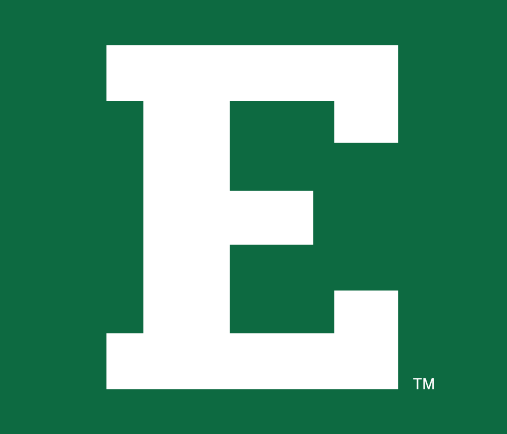Eastern Michigan Eagles 1995-Pres Alternate Logo v2 DIY iron on transfer (heat transfer)